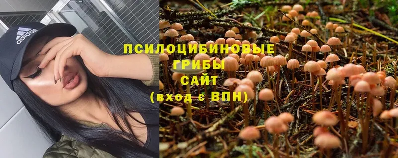 Галлюциногенные грибы MAGIC MUSHROOMS  Новомосковск 